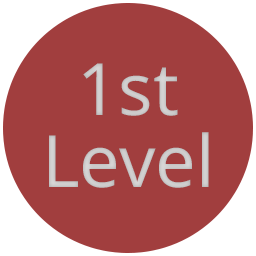 1st Level icon